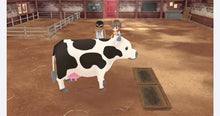Load image into Gallery viewer, Story of Seasons: A Wonderful Life - ( Nintendo Switch, PS4, and Xbox One)