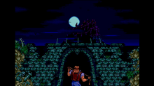 Load image into Gallery viewer, Limited Run #106: Castlevania Anniversary Collection - Switch