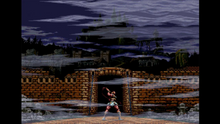 Load image into Gallery viewer, Limited Run #106: Castlevania Anniversary Collection - Switch