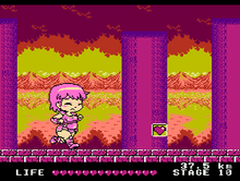 Load image into Gallery viewer, AMAZON'S TRAINING ROAD (NES)