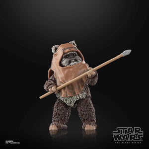 Wicket - (Star Wars Return of the Jedi) (Black Series)