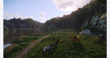 Load image into Gallery viewer, Kingdom Come: Deliverance II - ( PS5 / Xbox Series X )
