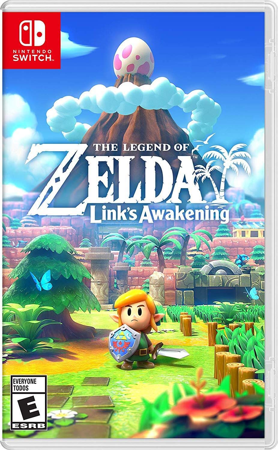 The Legend of Zelda Link's Awakening Switch